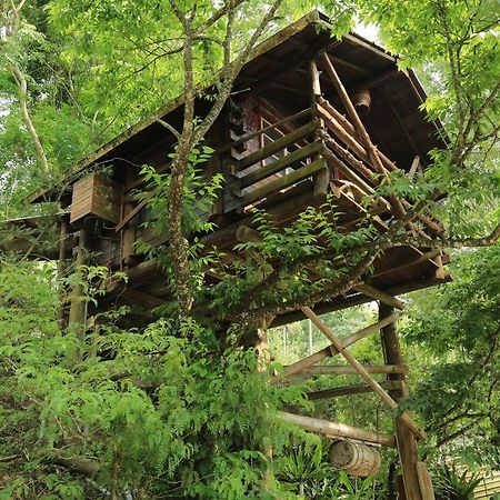 Lai Home Country Cottage B&B Meishan Eksteriør bilde